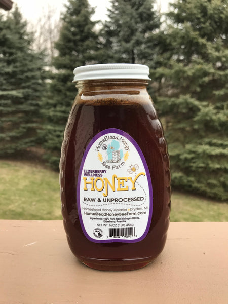 Elderberry Wellness Honey Local Michigan Raw Unprocessed Honey Herbal Infused 16 oz 1lb 454g