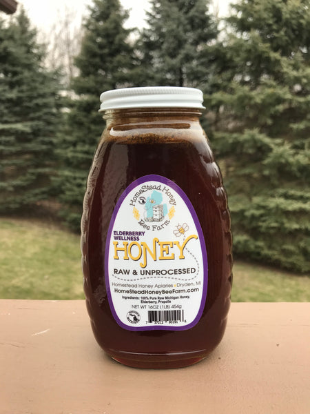 Arvoli Honey Elderberry Infused Raw Honey - 6 Lb Bulk Jug (Half Gallon) - All-Natural